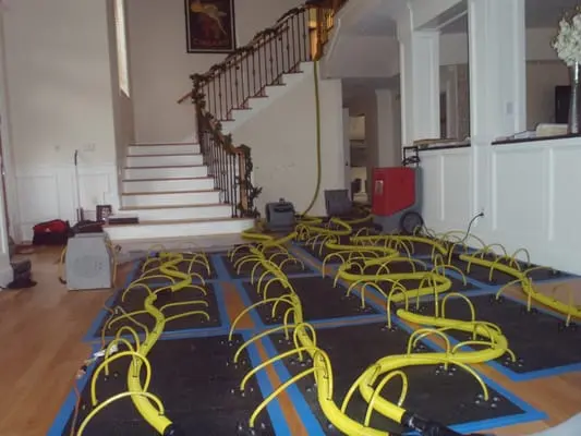 Floor drying mats and hoses spread across a hardwood floor at the foot of a staircase