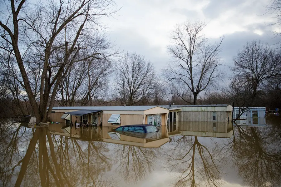 Homes standing in river floodwater among bare trees after a spring flood