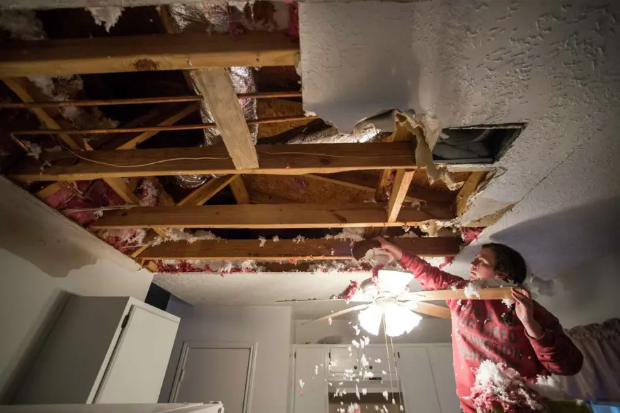 Soaked insulation being pulled from an opened ceiling after a pipe above it froze and split